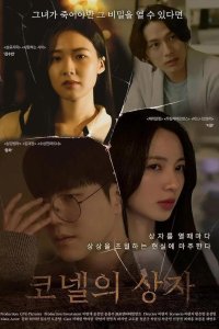 Ящик Корнелла (2025)